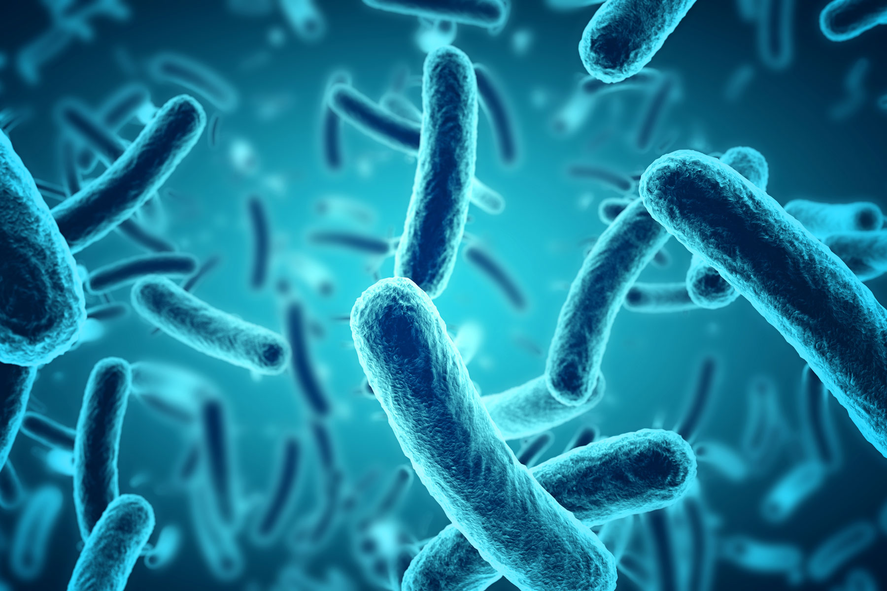 microscopic blue bacteria background